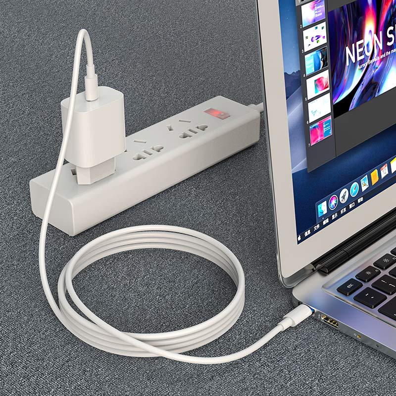 USB kabelis Hoco X51 iš Type-C į Type-C 20V 5A 100W 1.0m baltas