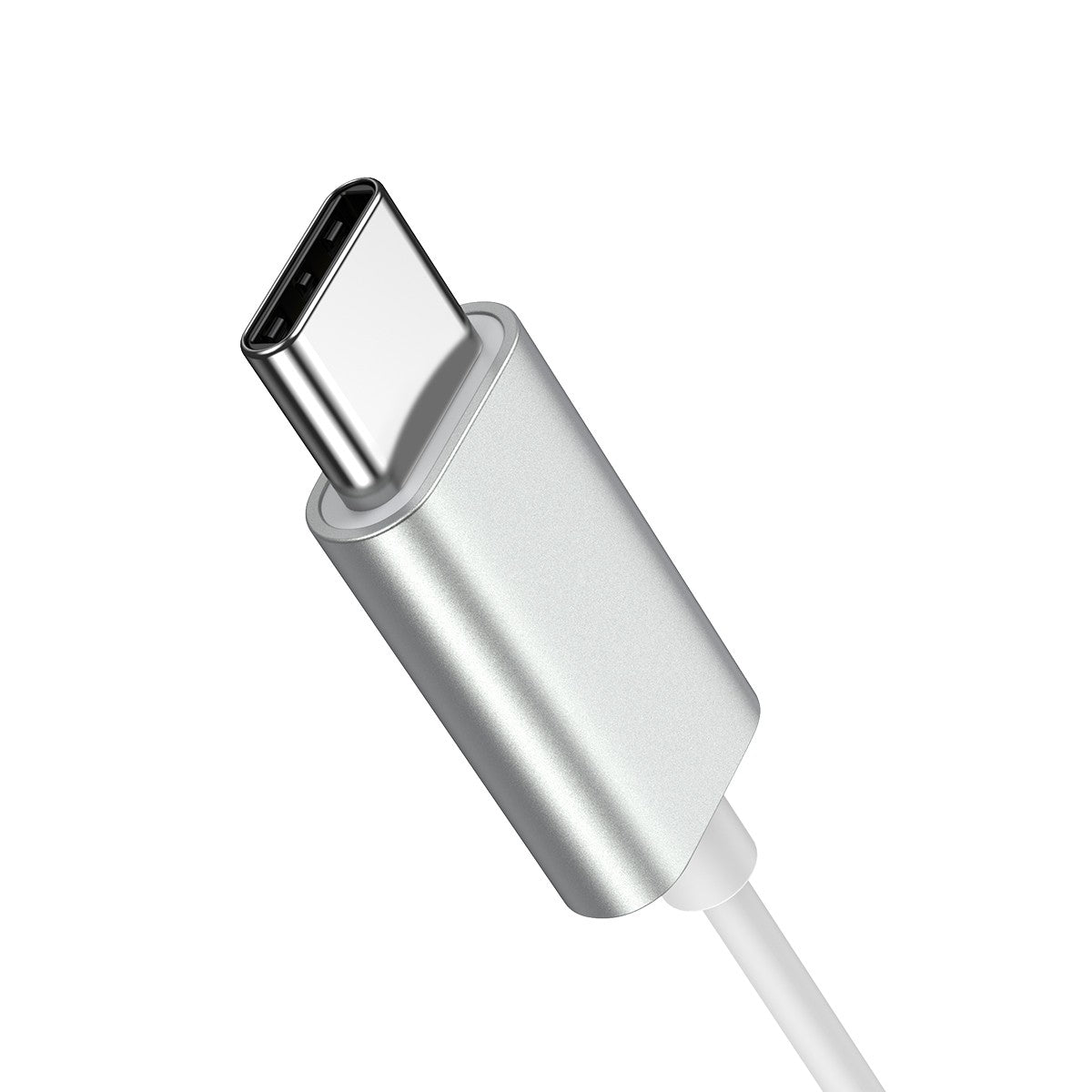 Ausinės Joyroom JR-EC06 Type-C sidabrinės
